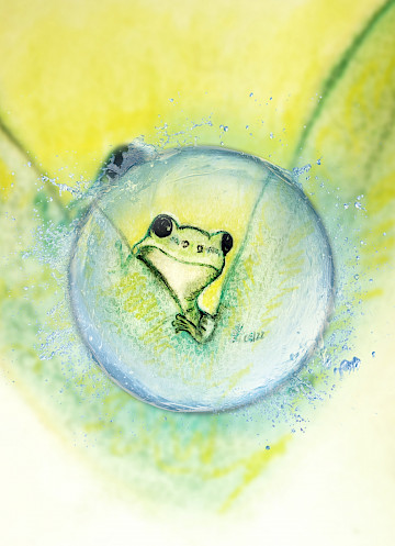 Der skeptische Frosch, Bild Pastellkreide von Kristina Linden, Druck auf Leinwand ab 19,99€ zzgl. Versand